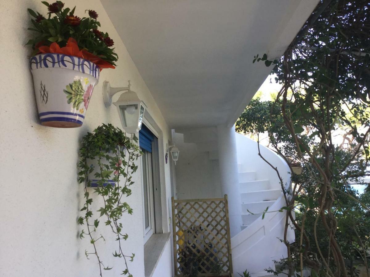 B&B Viadelmare Patù Exterior foto
